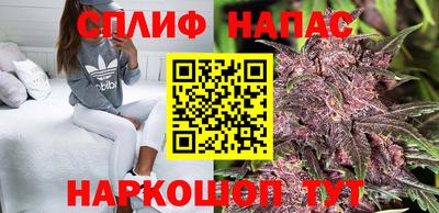 сатива Дмитров